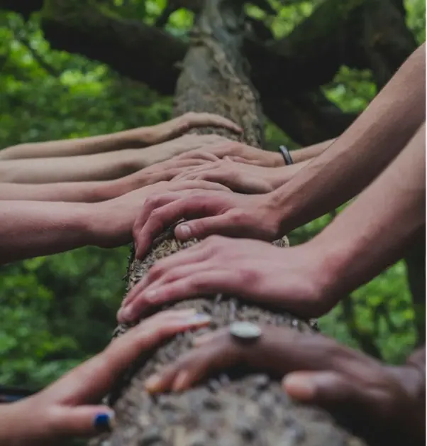 mains sur tronc d'arbre